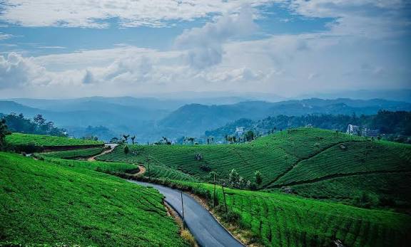 Journey to Munnar: Nature's Embrace